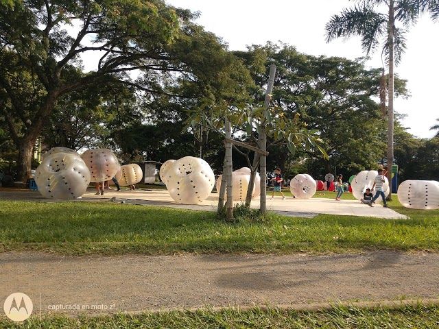 Parque Del Ingenio